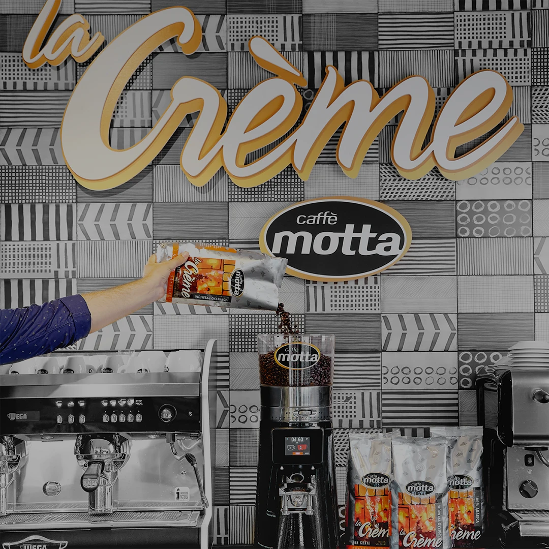 professional_chicchi