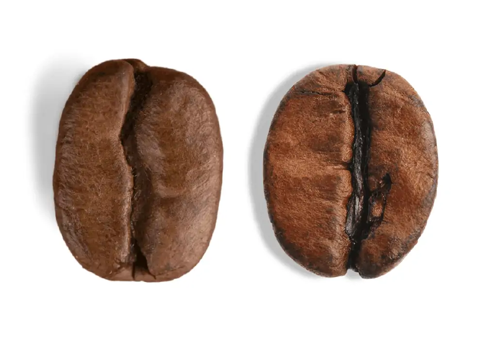 stabilimento_chicchi_caffe